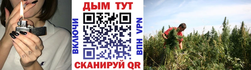 Как найти закладки Вилючинск Конопля  COCAIN  Кетамин  Меф  ГАШ  СК 