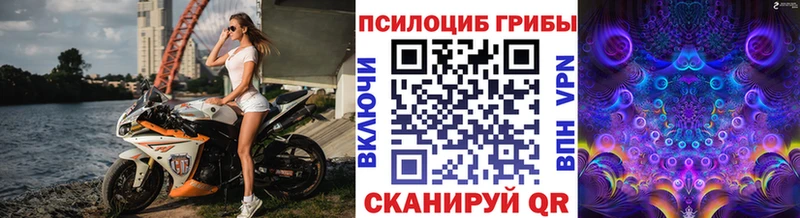 Псилоцибиновые грибы Psilocybine cubensis  Вилючинск 